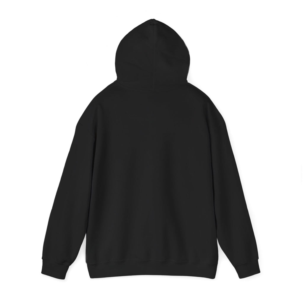 Hoodie — “Defend Democracy”