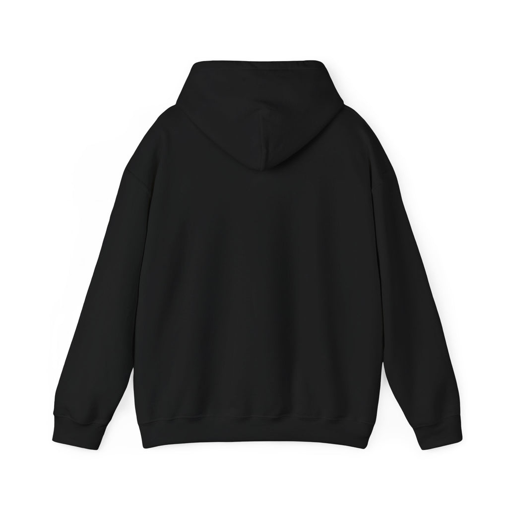 Hoodie — “Defend Democracy”