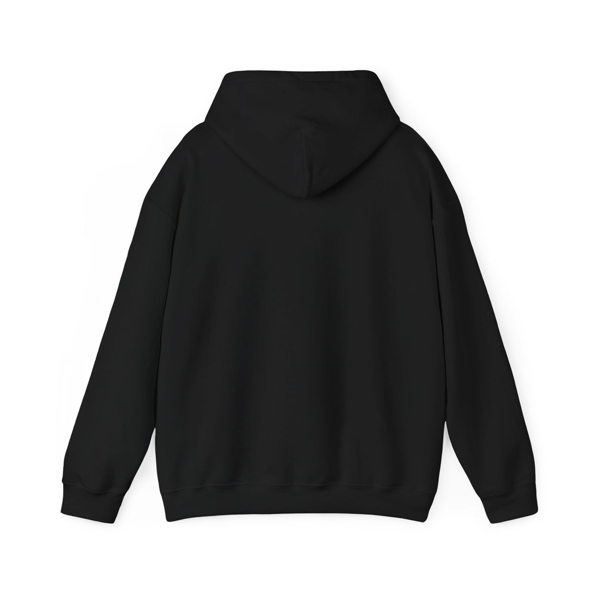 Hoodie — “Defend Democracy”